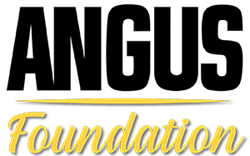 Angus Foundation Logo